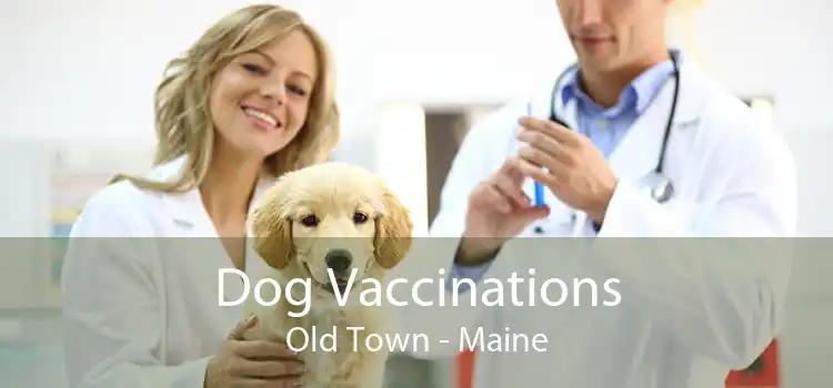 Dog Vaccinations Old Town - Maine