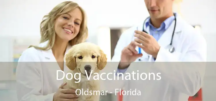 Dog Vaccinations Oldsmar - Florida