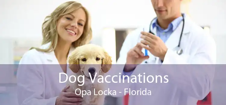 Dog Vaccinations Opa-locka - Florida