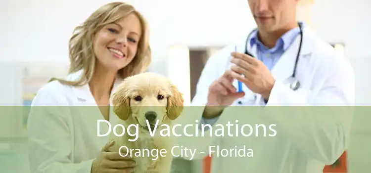 Dog Vaccinations Orange City - Florida