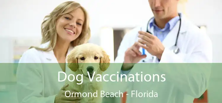 Dog Vaccinations Ormond Beach - Florida