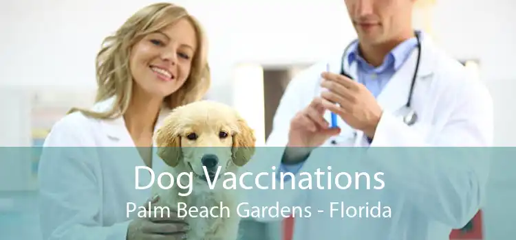 Dog Vaccinations Palm Beach Gardens - Florida