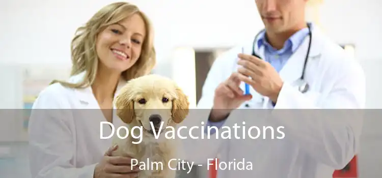 Dog Vaccinations Palm City - Florida