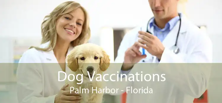 Dog Vaccinations Palm Harbor - Florida