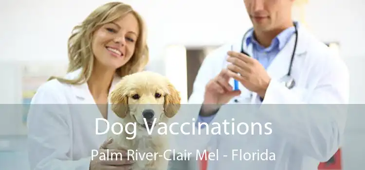 Dog Vaccinations Palm River-Clair Mel - Florida