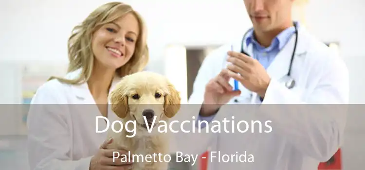 Dog Vaccinations Palmetto Bay - Florida