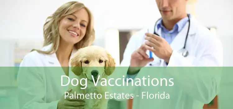 Dog Vaccinations Palmetto Estates - Florida