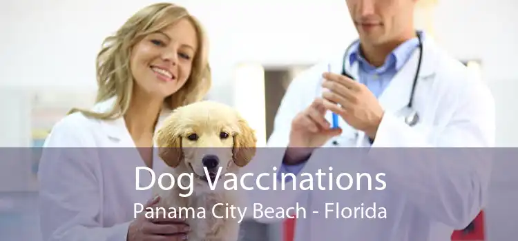 Dog Vaccinations Panama City Beach - Florida