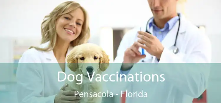 Dog Vaccinations Pensacola - Florida
