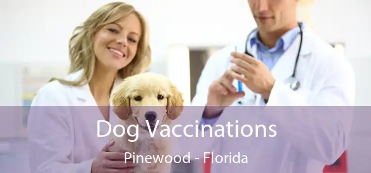 Dog Vaccinations Pinewood - Florida