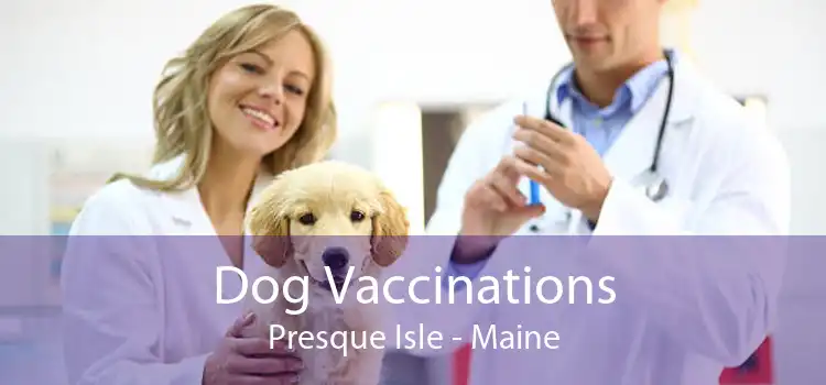 Dog Vaccinations Presque Isle - Maine