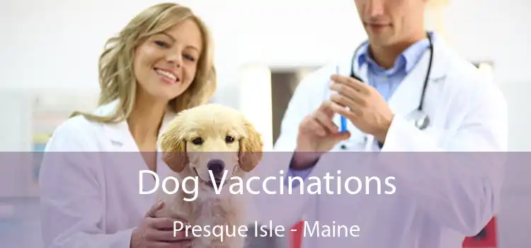 Dog Vaccinations Presque Isle - Maine