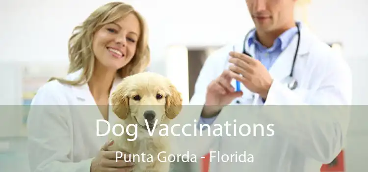 Dog Vaccinations Punta Gorda - Florida