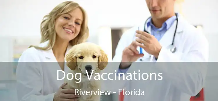 Dog Vaccinations Riverview - Florida
