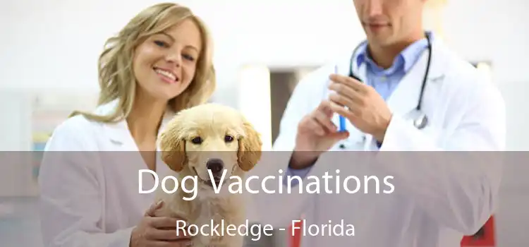 Dog Vaccinations Rockledge - Florida