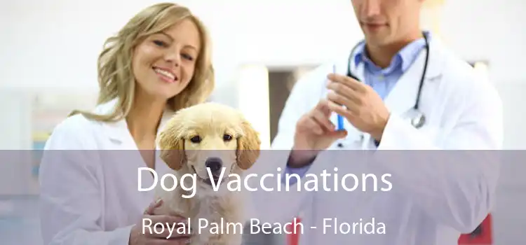 Dog Vaccinations Royal Palm Beach - Florida