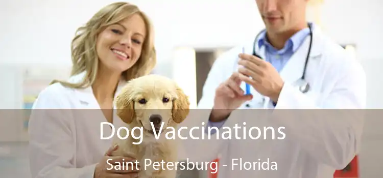 Dog Vaccinations Saint Petersburg - Florida