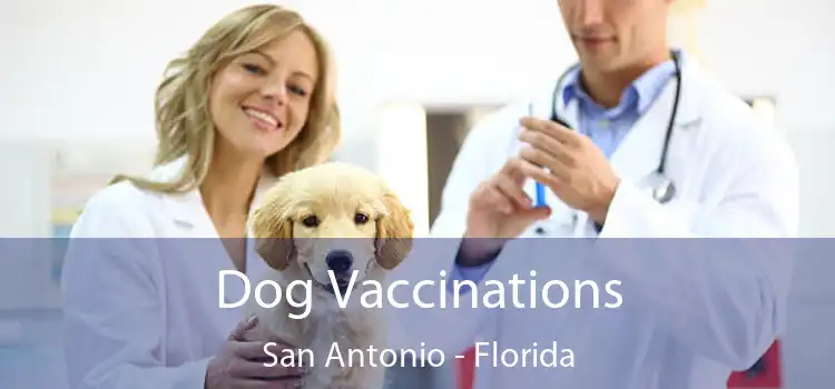 Dog Vaccinations San Antonio - Florida