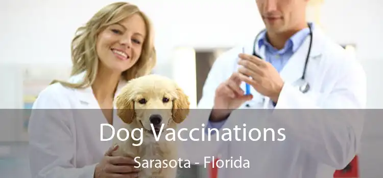 Dog Vaccinations Sarasota - Florida