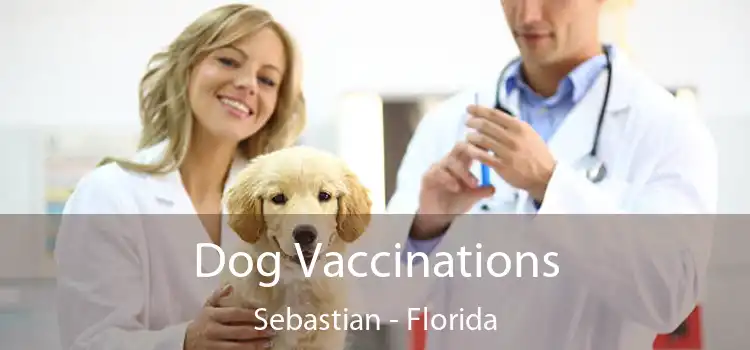 Dog Vaccinations Sebastian - Florida