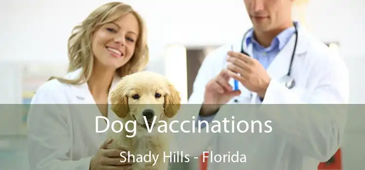 Dog Vaccinations Shady Hills - Florida