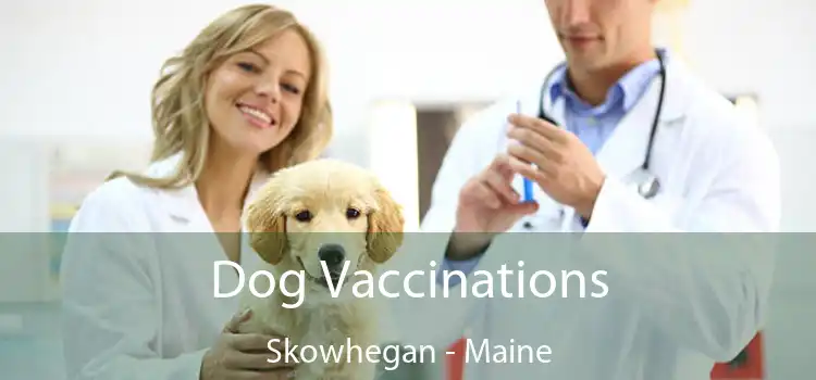 Dog Vaccinations Skowhegan - Maine