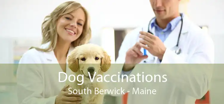 Dog Vaccinations South Berwick - Maine