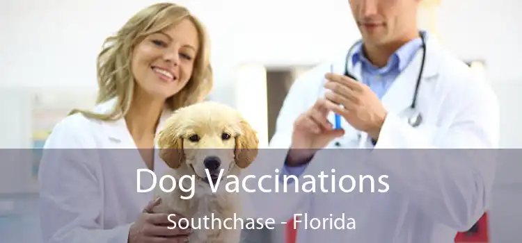 Dog Vaccinations Southchase - Florida