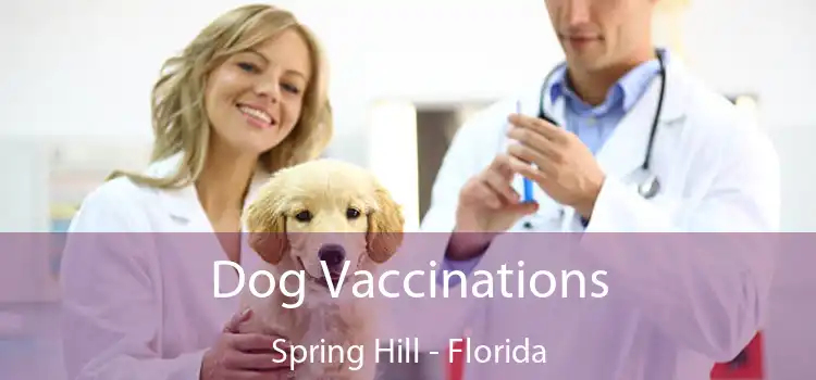 Dog Vaccinations Spring Hill - Florida