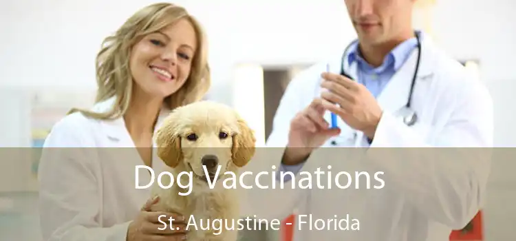 Dog Vaccinations St. Augustine - Florida