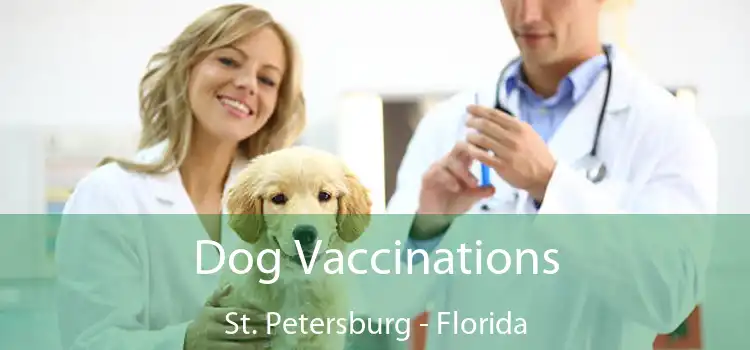 Dog Vaccinations St. Petersburg - Florida
