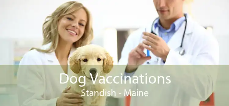 Dog Vaccinations Standish - Maine