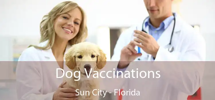 Dog Vaccinations Sun City - Florida