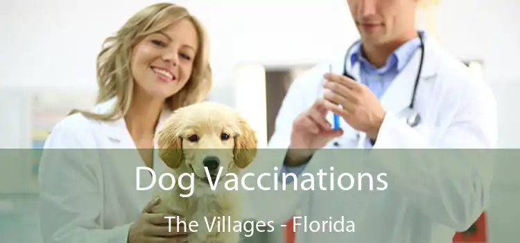 Dog Vaccinations The Villages - Florida