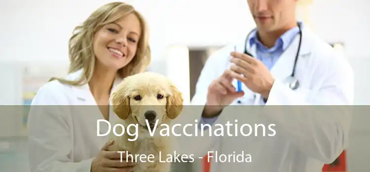 Dog Vaccinations Three Lakes - Florida