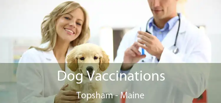 Dog Vaccinations Topsham - Maine
