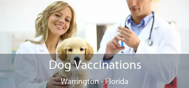 Dog Vaccinations Warrington - Florida