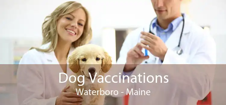 Dog Vaccinations Waterboro - Maine