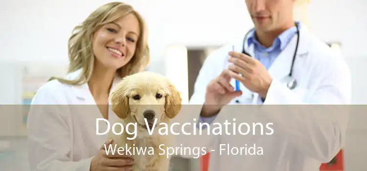 Dog Vaccinations Wekiwa Springs - Florida