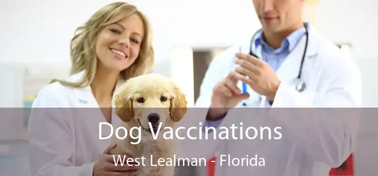 Dog Vaccinations West Lealman - Florida