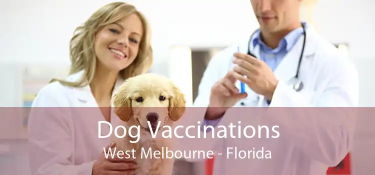 Dog Vaccinations West Melbourne - Florida