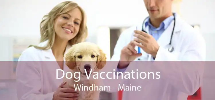 Dog Vaccinations Windham - Maine