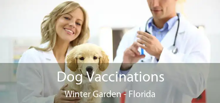 Dog Vaccinations Winter Garden - Florida