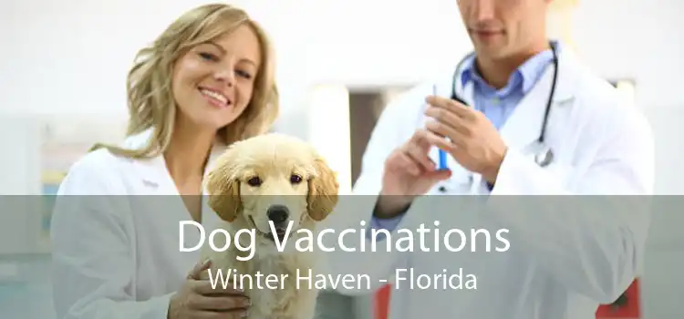 Dog Vaccinations Winter Haven - Florida