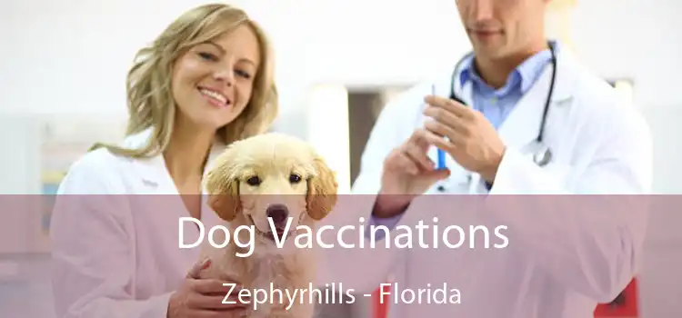 Dog Vaccinations Zephyrhills - Florida