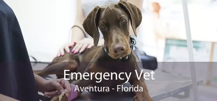 Emergency Vet Aventura - Florida