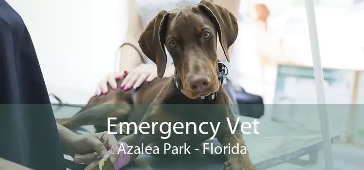 Emergency Vet Azalea Park - Florida