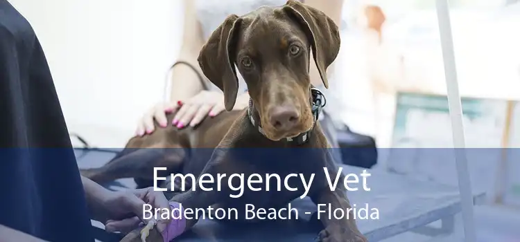 Emergency Vet Bradenton Beach - Florida