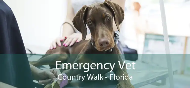 Emergency Vet Country Walk - Florida