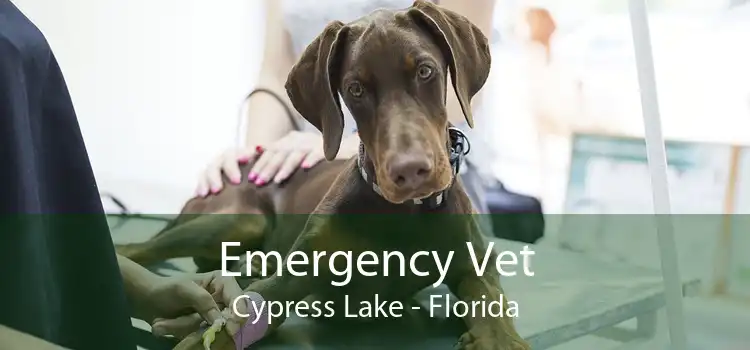 Emergency Vet Cypress Lake - Florida